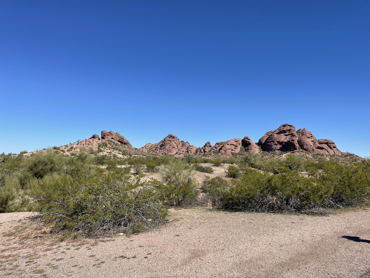 The Scottsdale desert