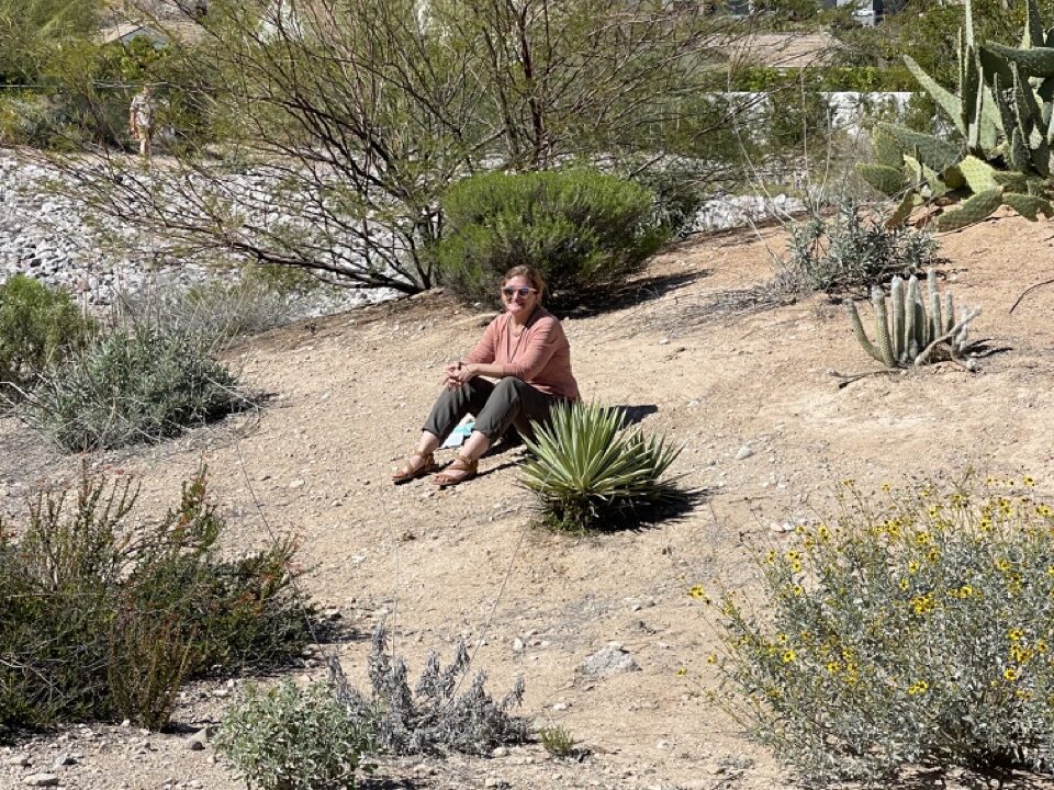 Reflection in the desert